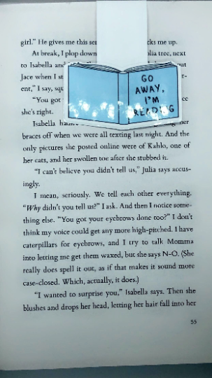 Go Away I'm Reading Magnetic Bookmark